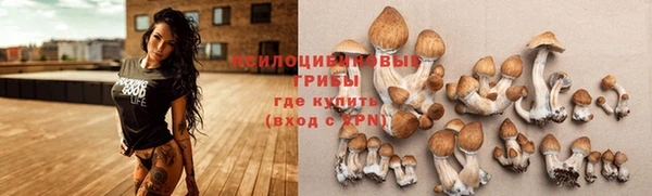 а пвп мука Абаза