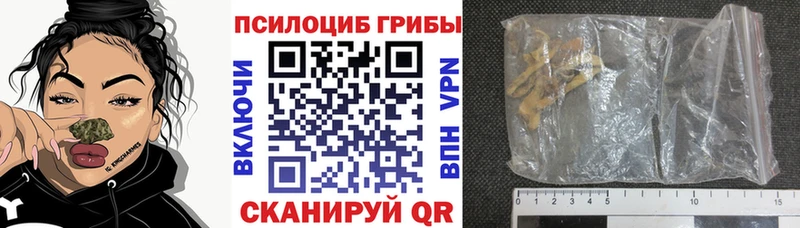 Псилоцибиновые грибы Magic Shrooms  Нижнекамск 